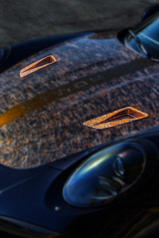 GT2 NÜR HOOD SCOOPS